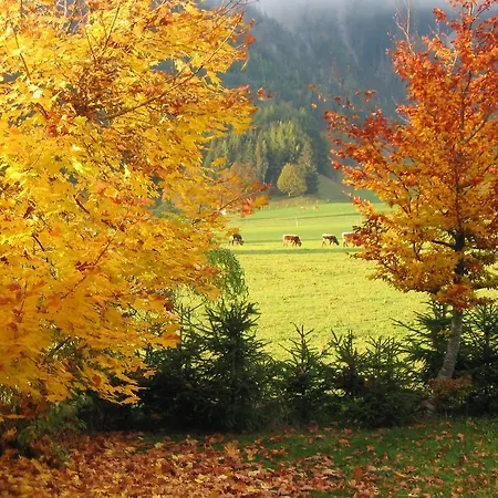 Appartementhaus Sonne Διαμέρισμα